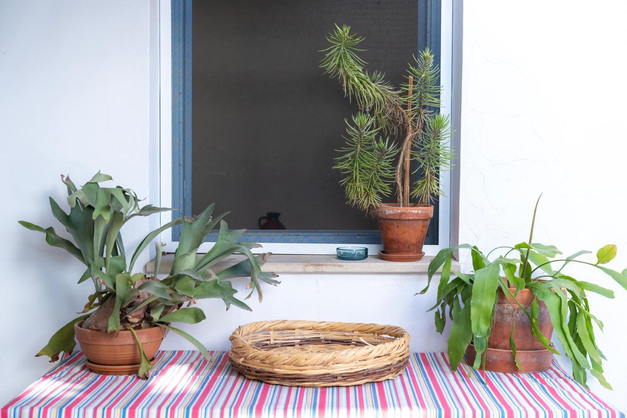 Ananke Home Nicosia Exterior photo